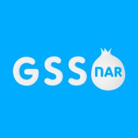 Gssnar Games logo - Similar company to Allustore