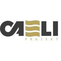 Caeli Projekt logo - Similar company to Pgb Group