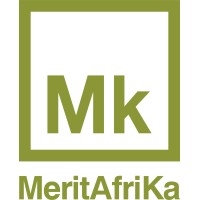 MERIT-AFRIKA LTD logo - Similar company to Flow