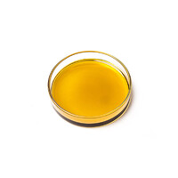 CBD EXPORTERS logo - Similar company to 888 Beef Exporters, Llc