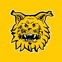 Tampereen Ilves | Ilves Football logo - Similar company to Ttl Systems