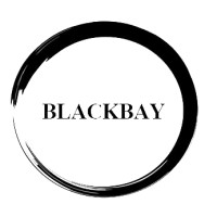 BlackBay Security and Investigations logo - Similar company to Center For Trauma Informed Practices