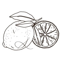 SophScript Co. logo - Similar company to Westcal Academy