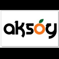 Aksoy Food logo - Similar company to Noynuts