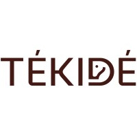 TÉKIDÉ logo - Similar company to Cdkit
