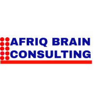 AfriqBrain Consulting logo - Similar company to Highpoint Accounting Solutions
