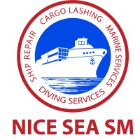 NICE SEA SM CO., LTD. logo - Similar company to Qamera Design - Ux Research, Design, Build