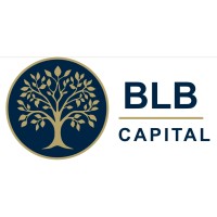 BLB Capital logo - Similar company to Leech Protocol