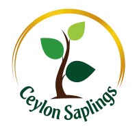 ceylon saplings LK logo - Similar company to Agri Deshiya (Pvt) Ltd