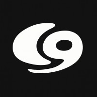 Channel 9 Dauphine logo - Similar company to Og Studio