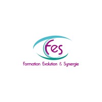 Formation Evolution Synergie logo - Similar company to Avenir 84