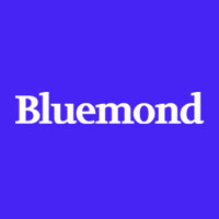 Bluemond logo - Similar company to Mf Tech Solutions