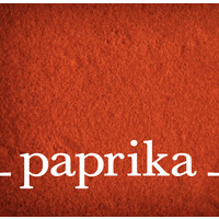 Paprika Partners Inc. logo - Similar company to Paprika Partners Inc