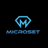 Microset logo - Similar company to Microset Int S.R.L.