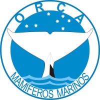 Orca Peru