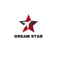 Dream star immigration services logo - Similar company to Bright Routes Official