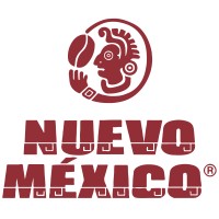 NUMEX logo - Similar company to Psfpro - Papel San Francisco