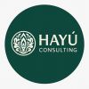 HAYÚ Consulting logo - Similar company to Filpromer