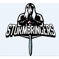 Stormbringers logo - Similar company to Gaming Services