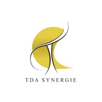 TDA SYNERGIE logo - Similar company to Evaluence