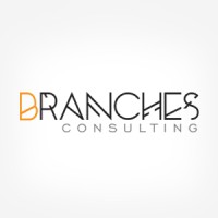 Branches Consulting logo - Similar company to Eplants Technologies Pvt. Ltd