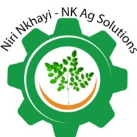 Niri Nkhayi