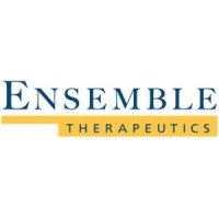 Ensemble Therapeutics Corporation logo - Similar company to Selventa
