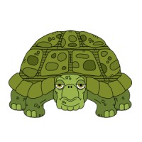 Tortue