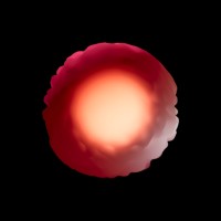 rhizome logo - Similar company to Rhizome Studio