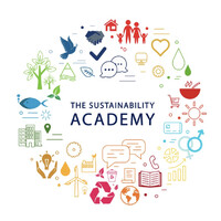 The Sustainability Academy logo - Similar company to Goals Uk