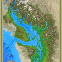 Salish Sea Institute logo - Similar company to Working For Watersheds