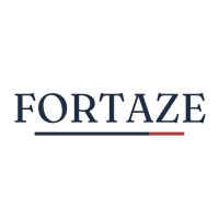 Fortaze logo - Similar company to Techmro Inc