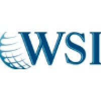 WSI- Optimized Web Solutions logo - Similar company to Resilient Growth