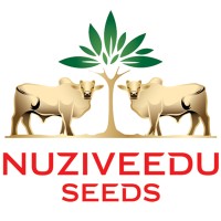 NUZIVEEDU SEEDS LIMITED logo - Similar company to National Seeds Corporation Limited