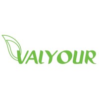 VALYOUR MOROCCO logo - Similar company to Valyour