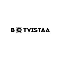 BotVistaa logo - Similar company to Web Octane