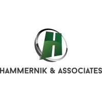 Hammernik & Associates logo - Similar company to Karching Inc