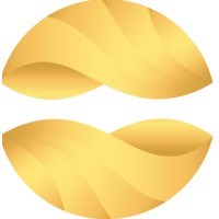 Soften Technology logo - Similar company to Soften Technolgies
