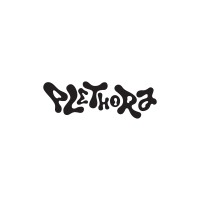 PLETHORA logo - Similar company to Homenest Development
