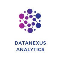 DataNexus Analytics logo - Similar company to Clear Edge Dynamics D