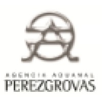 AGENCIA ADUANAL PEREZGROVAS