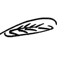 Evonovation logo - Similar company to Corecortex