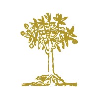 Valverde Azeites logo - Similar company to Terrapampa Azeites