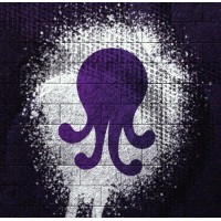 Octus Creative logo - Similar company to Rj5 Comunicação Integrada