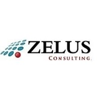 Zelus TechnoConsultants logo - Similar company to Ludaypro