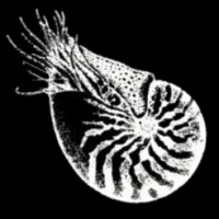 Apothecary Films logo - Similar company to Havenxr