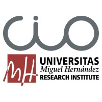 Instituto Centro de Investigación Operativa logo - Similar company to Iddeass Digital Intelligence