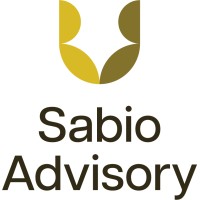 Sabio Advisory logo - Similar company to Dart Solutions