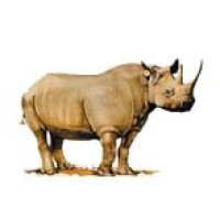 Rhino Investment Partners Inc. logo - Similar company to Lawrence Wealth