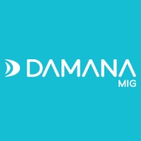Damana Holding logo - Similar company to Damana